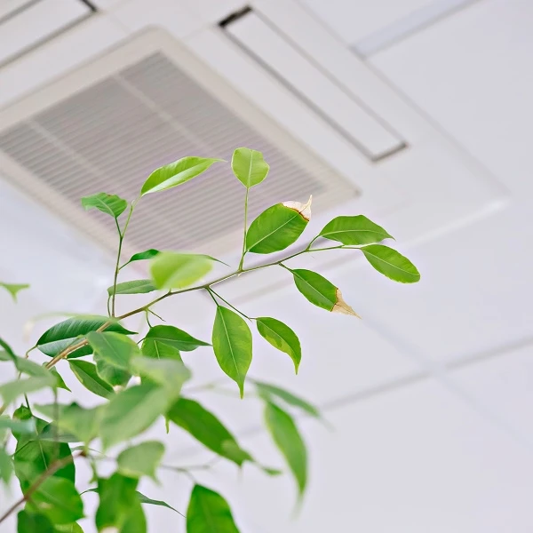 Pourquoi-conduits-ventilation-essentiels